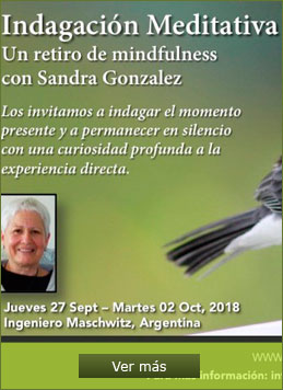 Indagaci&oacute;n Meditativa