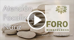 Atenci&oacute;n Focalizada