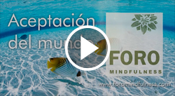 Aceptaci&oacute;n del mundo